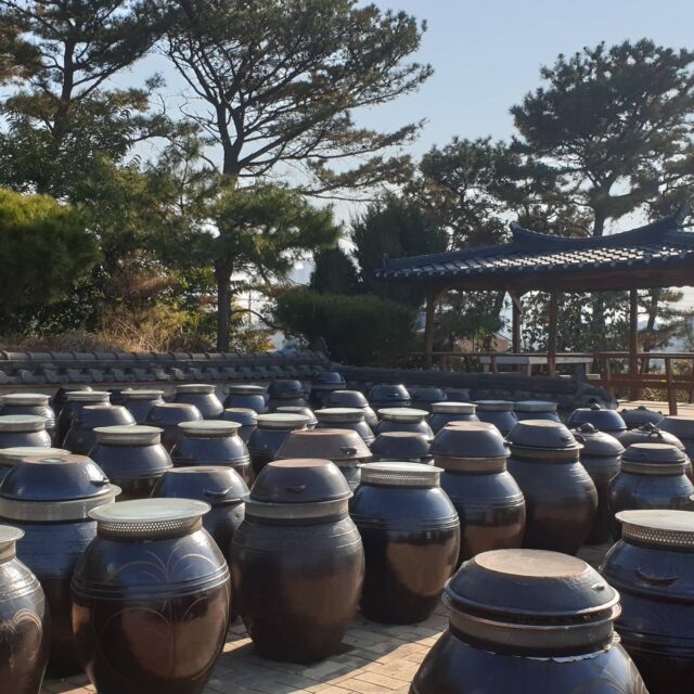 안성 장류투어~~
바쁜 일정 중이지만 예정대로 진행한 안성장류튜어^^
17년 된장 간장의 고향애~~~
깊고 진한 풍미가 일품이네요
#한국발효장류진흥협회 #된장#간장#고추장#청국장 #고향애#메주 #장류제조사