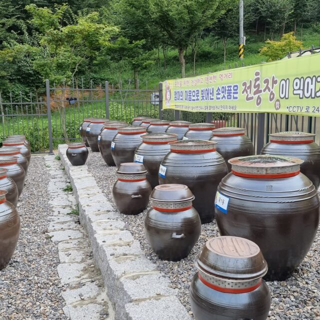 한여름 무더위에 발효 숙성 중~~
장담그기와 장가르기 후 맛있게 익어가는 중^^
장관리의 짬방울들이 장을 더욱 맛있게 합니당
#한국발효장류진흥협회 #(사)한국발효장류진흥협회 #양천구도시농업공원 #장담그기 #된장 #간장 #고추장#발효 #장류